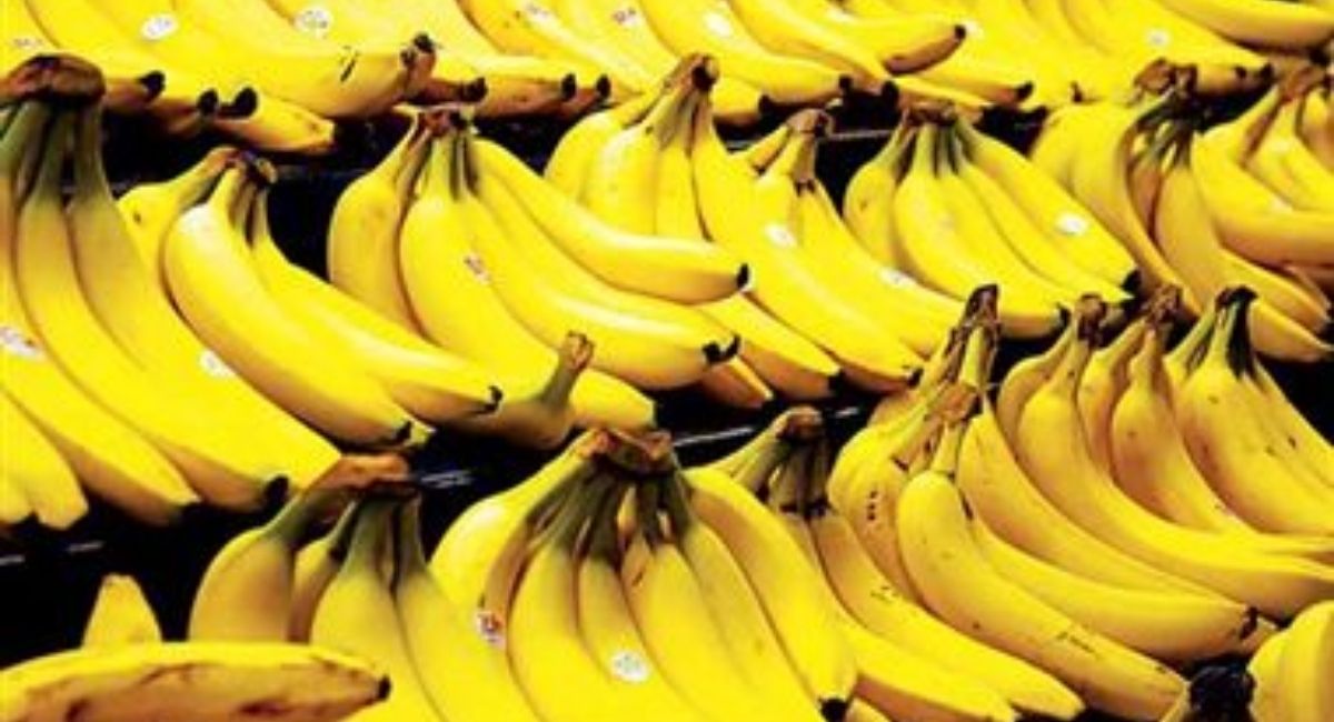 train passenger fined for banana peel prayagraj railway cleanliness drive