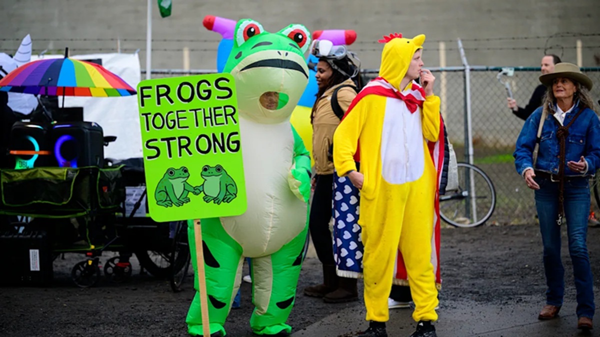 frog costumes become a popular choice at anti trump protests