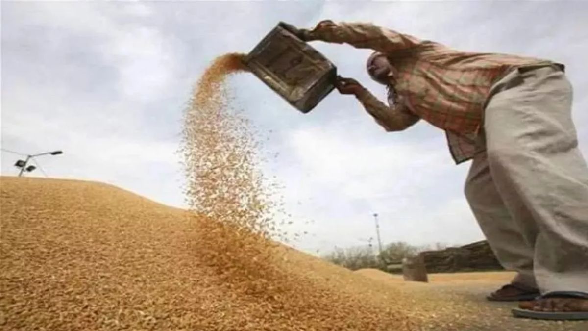 delayed paddy procurement in jewar