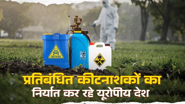 यूरोप में जिन कीटनाशकों के इस्तेमाल पर पाबंदी, यूरोपीय कंपनियां धड़ल्ले से कर रहीं उनका निर्यात