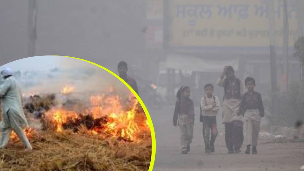 punjab air crisis jalandhar pollution soars 484 stubble burning cases
