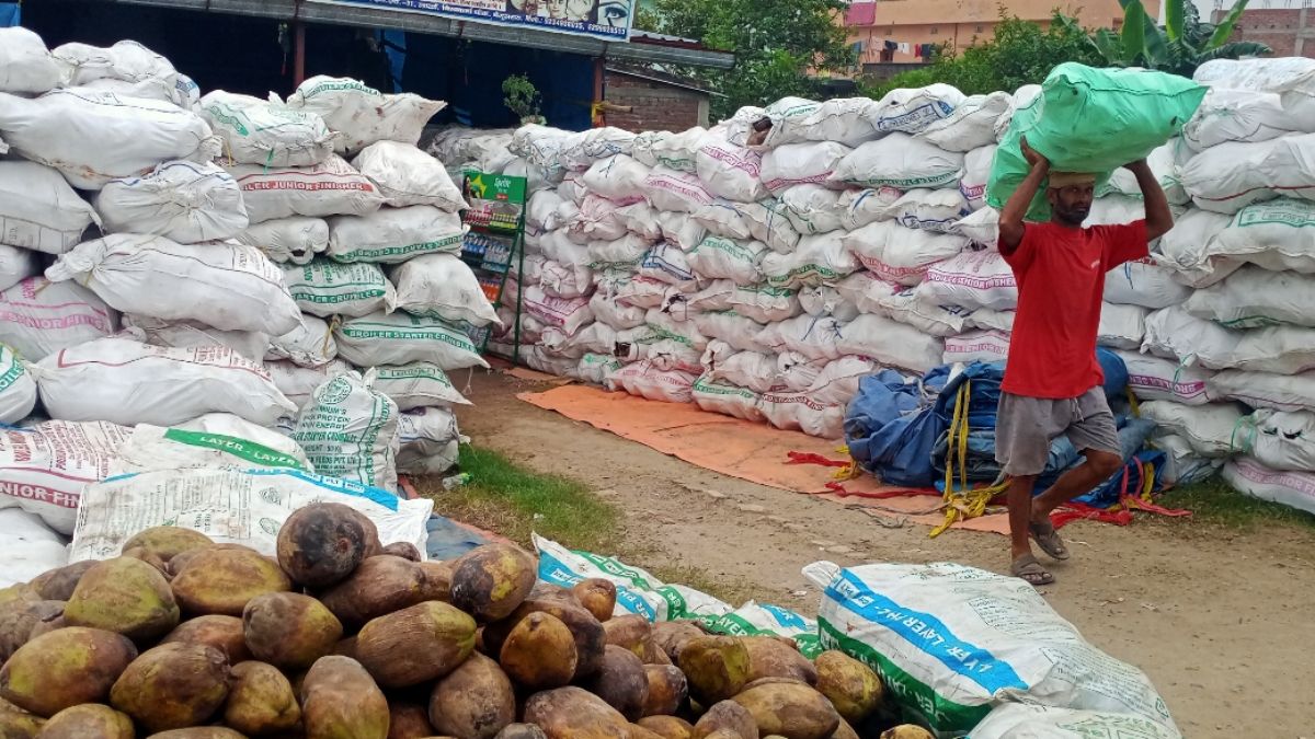 begusarai lakho mandi statelevel coconut business hub