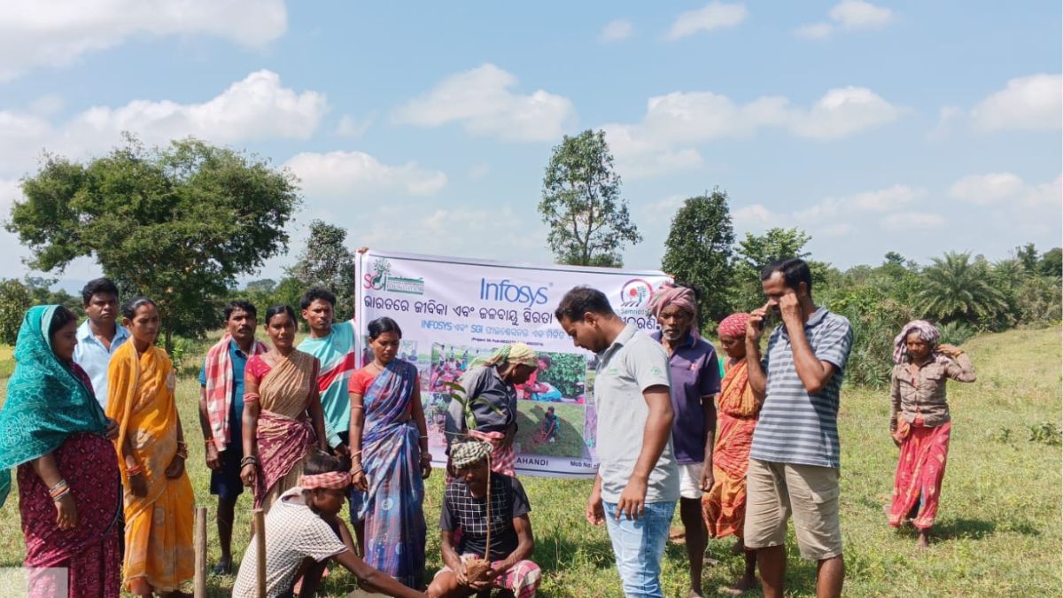 west odisha to become food forest hub 25000 fruit trees planted