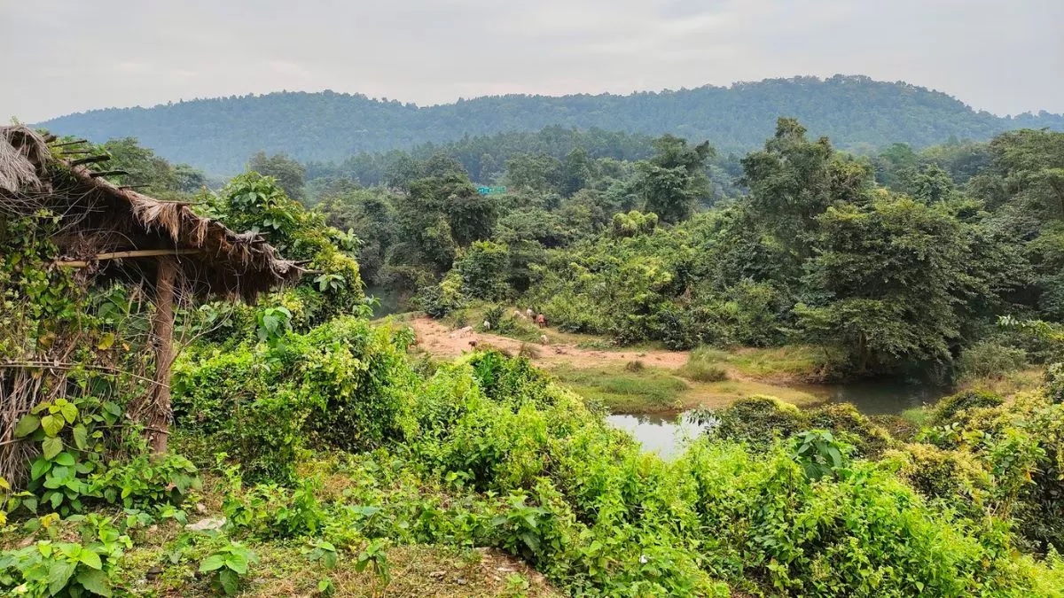 forest land encroachment jharkhand forest department to conduct survey