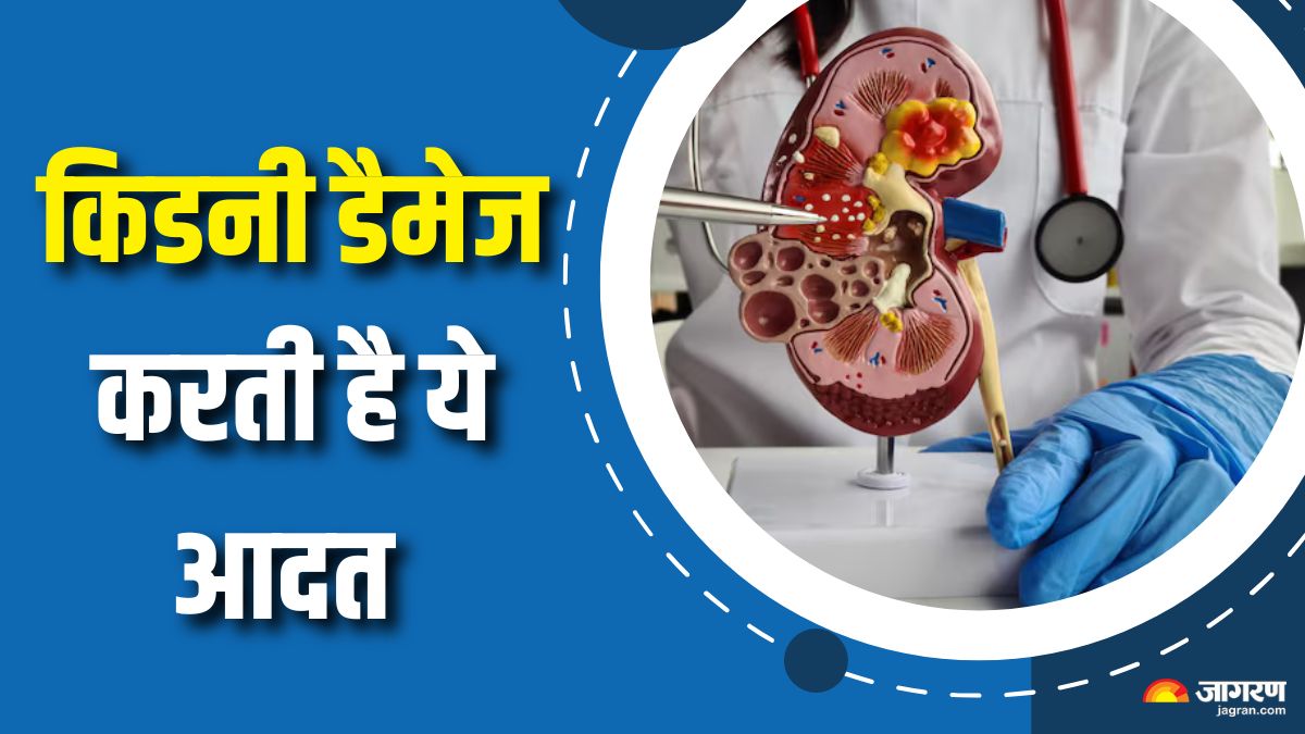 this simple daily habit is damaging your kidney check details here