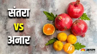 संतरा या अनार: सर्दियों में किस फल को खाने से मिलेगा ज्यादा फायदा? (Image Source: Freepik)