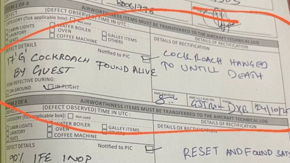 air india flight cockroach found on delhidubai flight post viral