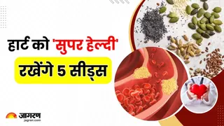 हार्ट को हेल्दी रखेंगे 5 सीड्स, कोलेस्ट्रॉल भी हो जाएगा कम (Image Source: Freepik)