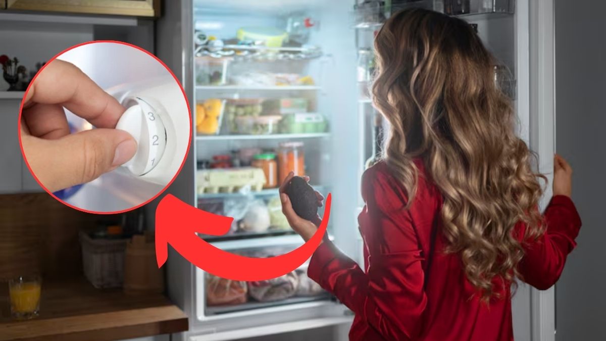 fridge temperature in winter best setting to save electricity and keep food fresh