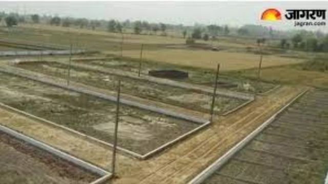 गोकुल में गौचर भूमि पर हो रहे अवैध कब्जे, संत ने CM योगी से लगाई ये गुहार
