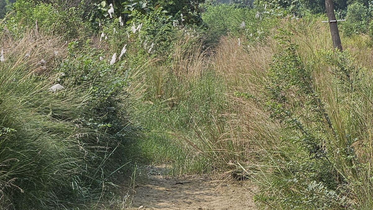 gonda canal silt cleaning tender delayed farmers face wheat sowing issues