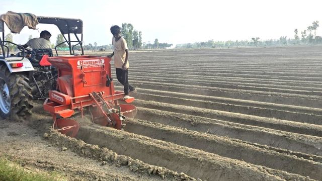 यूपी के इस जिले में लाल आलू की बुआई तेज, 500 हेक्टेयर रकबा बढ़ने की उम्मीद
