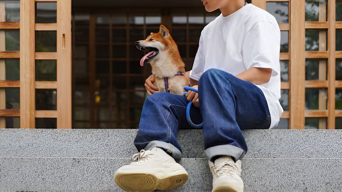 the chinese man helping children with autism and depression using dogs for therapy
