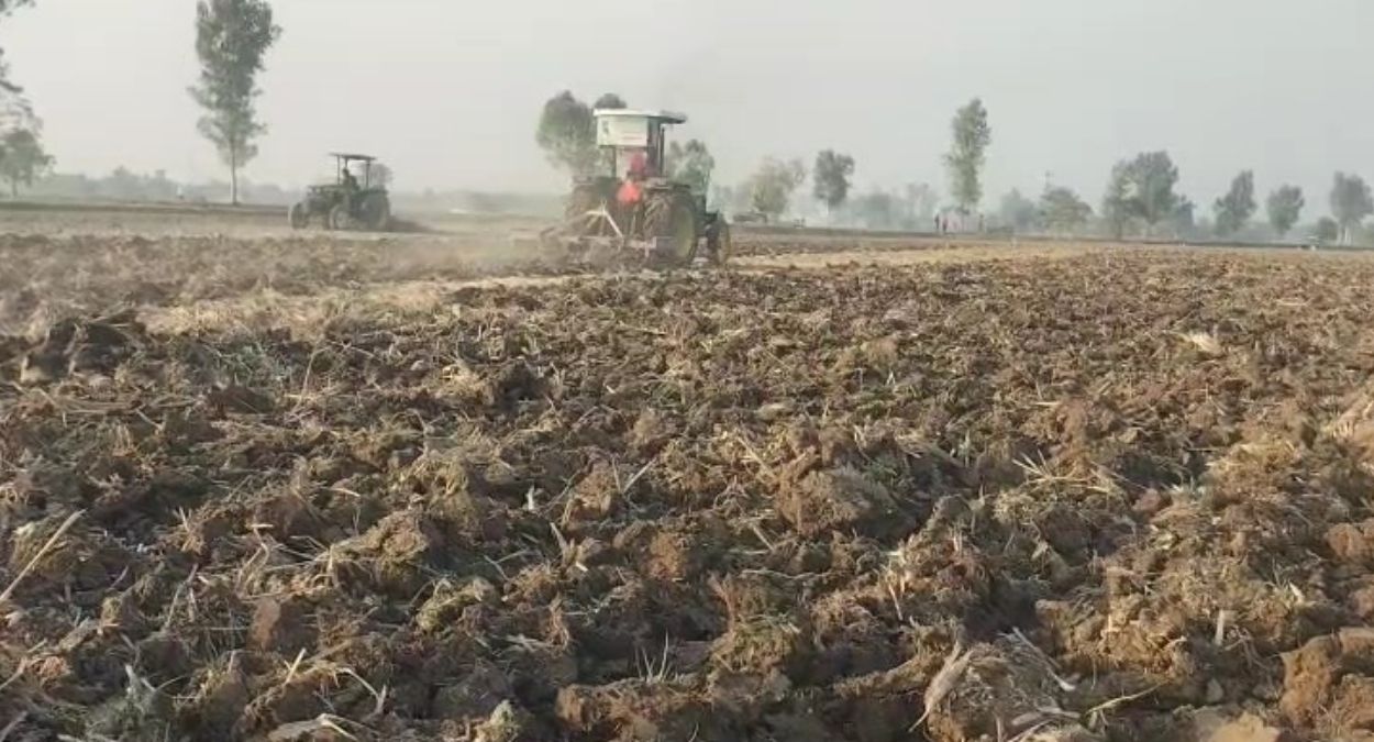 ferozepur flood aftermath farmers struggle with sandcovered fields