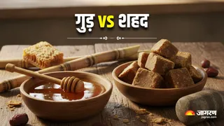 शहद vs गुड़: डेली यूज के लिए कौन-सा ऑप्शन है ज्यादा बेस्ट? (Image Source: AI-Generated)