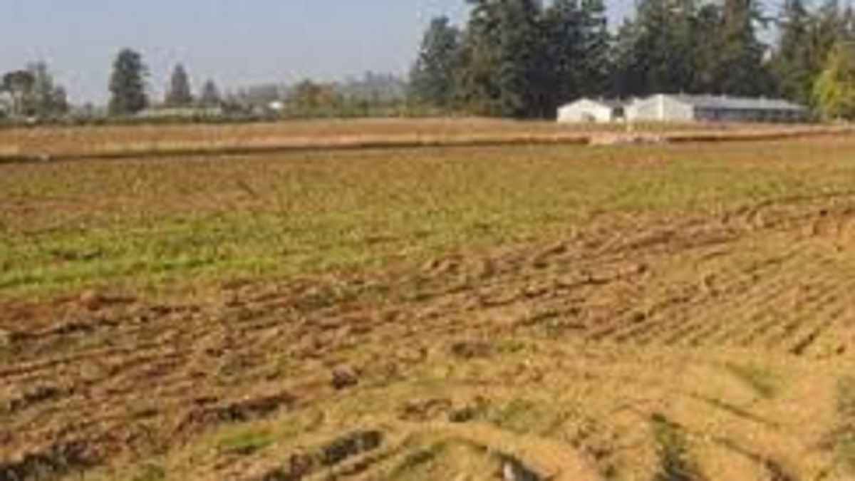 prayagraj nazul land freehold 2000 applications rejected on rs 10 stamp