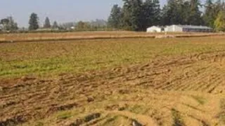 प्रयागराज में नजूल भूमि फ्रीहोल्ड पर संकट, 2,000 आवेदन निरस्त हुए हैं, ऐसी भूमि का सत्यापन शुरू होगा।