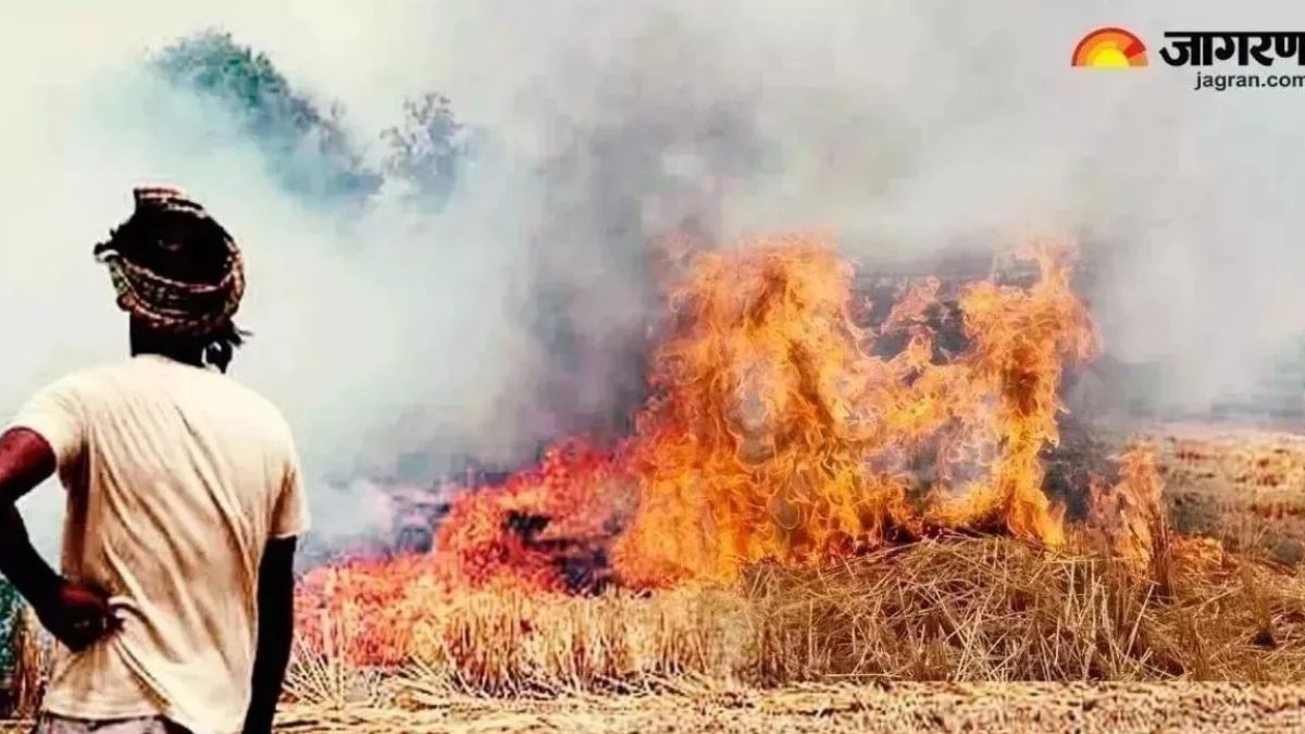 10 farmers jailed for burning stubble 19 apprehended in shahjahanpur
