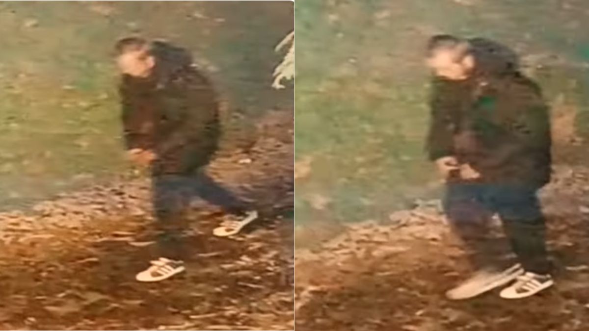 racist attack in uk indian woman raped go back to india shouted