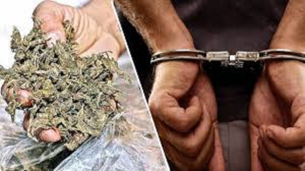 two interstate drug smugglers arrested in pinjore with ganja