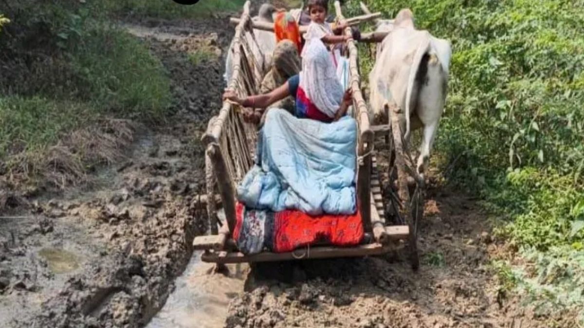 hamirpur road construction probe pregnant woman carried by bullock cart