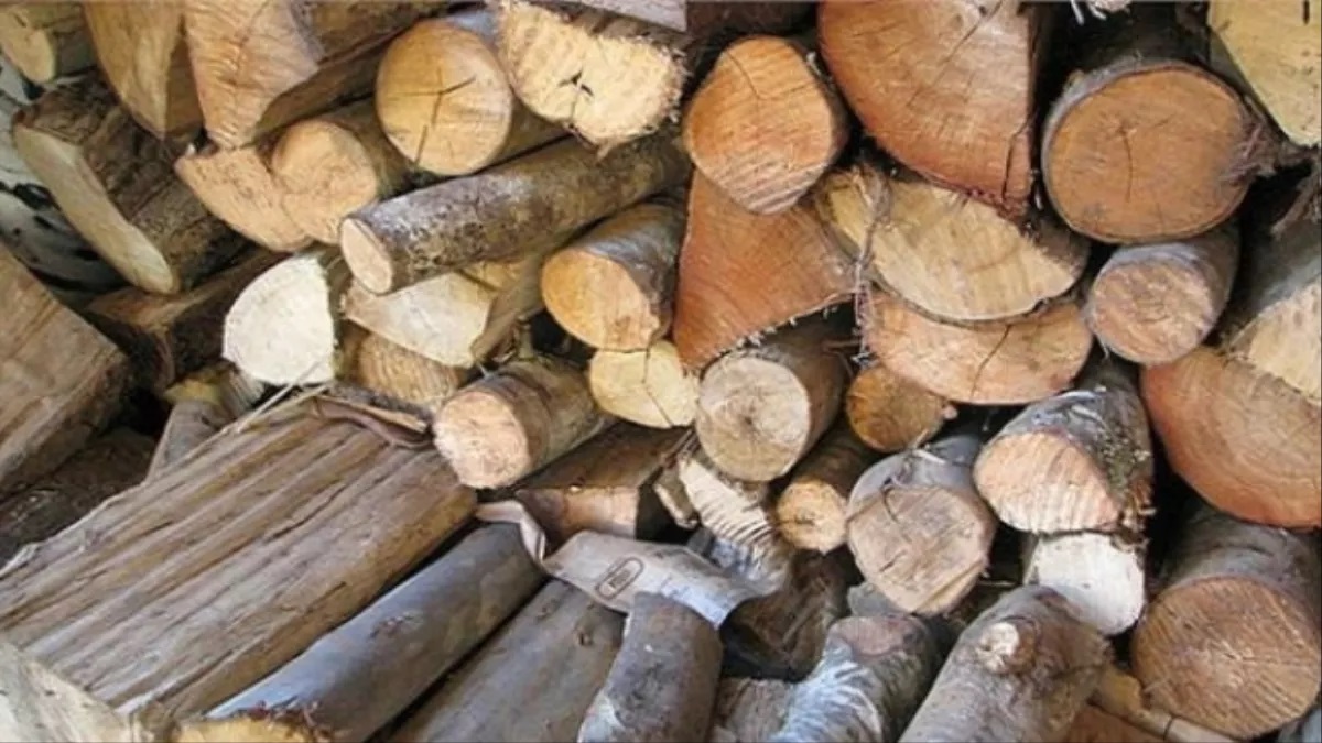 himachal pradesh forest department seizes six vehicles in amb timber smuggling crackdown