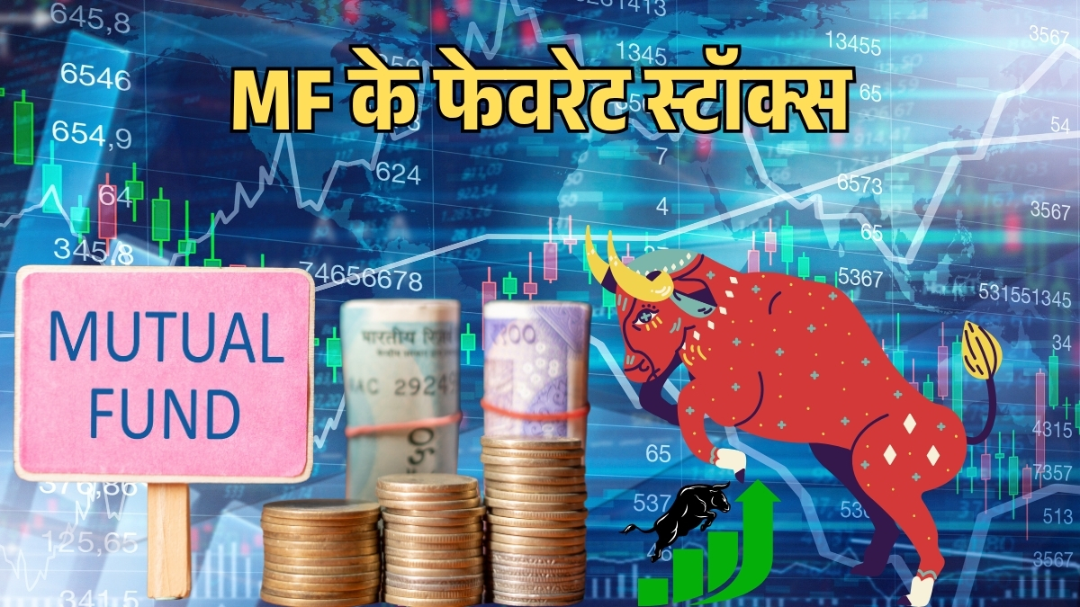 mutual funds increase stake top performing stocks and multibagger returns