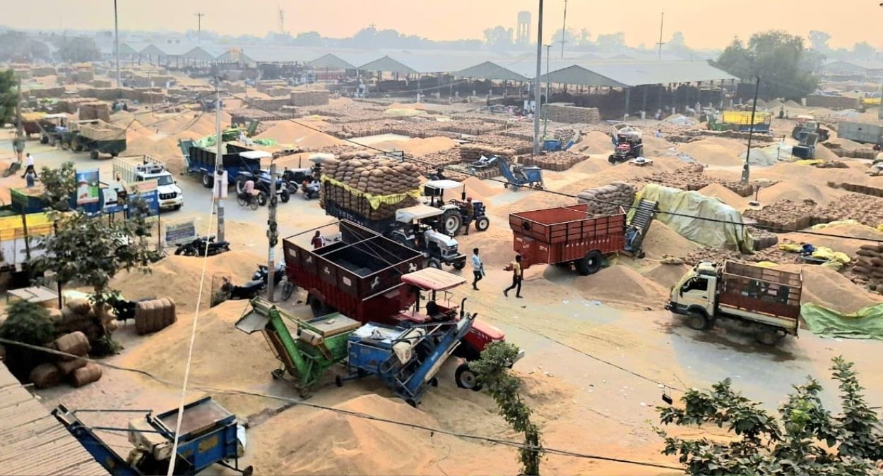 slow paddy lifting in mandi laborers protest work disrupted