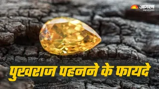 Pukhraj benefits in hindi (Picture Credit: Freepik)