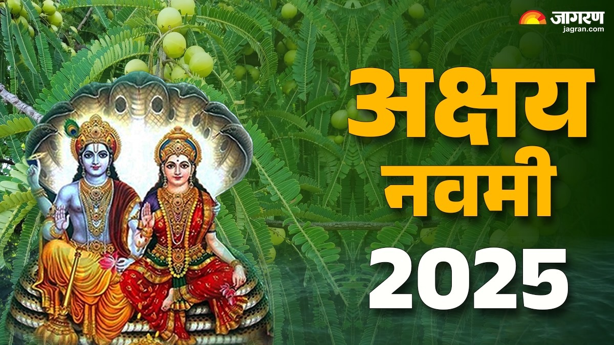 why on akshaya navami 2025 do devotees worship the amla tree religious significance explained
