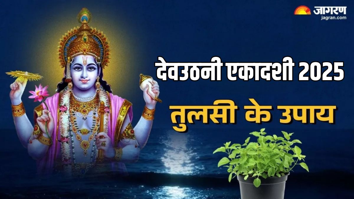 kab hai dev uthani ekadashi 2025 tulsi ke upay in hindi