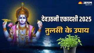 Dev Uthani Ekadashi के दिन जरूर करें तुलसी से जुड़े ये उपाय, खूब बरसेगी