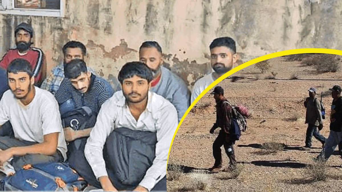 haryana youth lose 1700 crore rupees to illegal immigration donkey route within three years