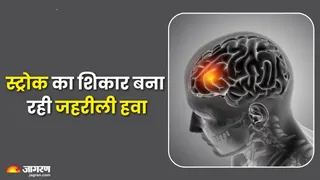 सावधान! वायु प्रदूषण बढ़ा रहा स्ट्रोक का खतरा, जानिए बचाव के उपाय (Picture Credit- AI Generated)