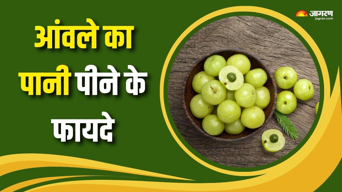 6 benefits of drinking amla water every morning check details here