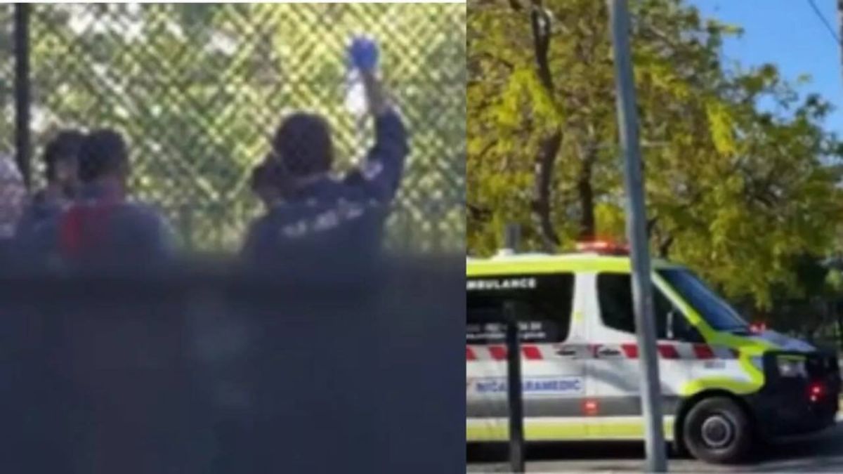 australian cricketer in critical condition after ball hits neck life support