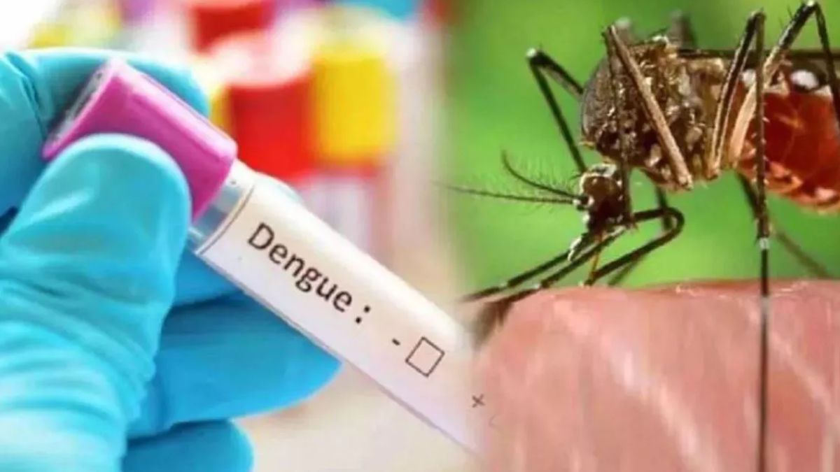 dengue cases surge in ghaziabad 101 new cases in 28 days