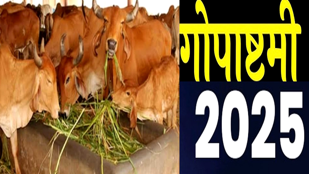 kab hai gopashtami 2025 when is gopashtami gopashtami kab hai gopashtami 2025 date shubh muhurat puja vidhi and significance
