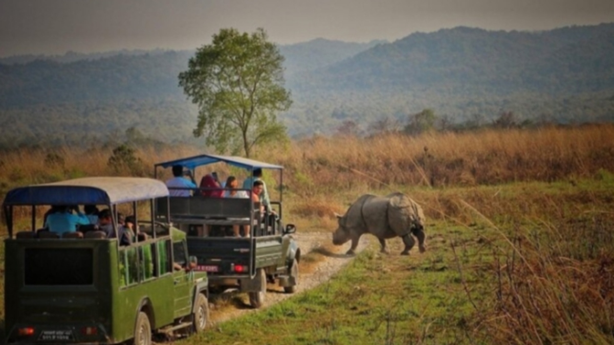 chitwan national park safari now accessible from nawalparasi