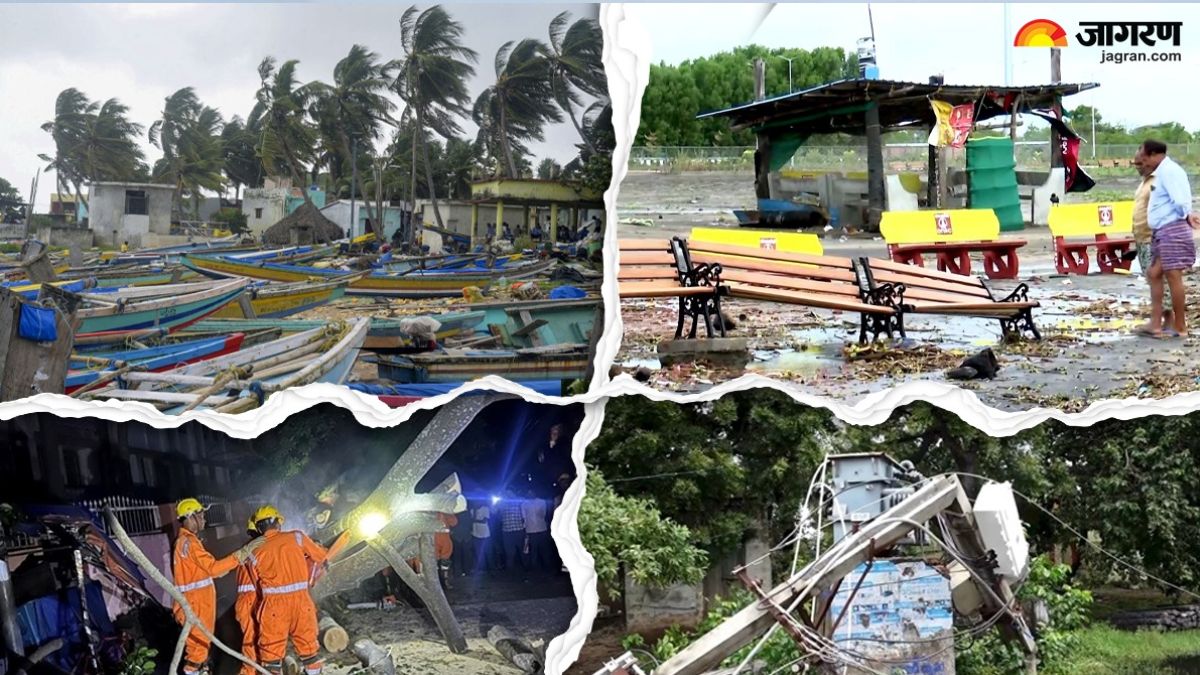 cyclone montha update trees fell trains were cancelled power supply was disrupted see pictures