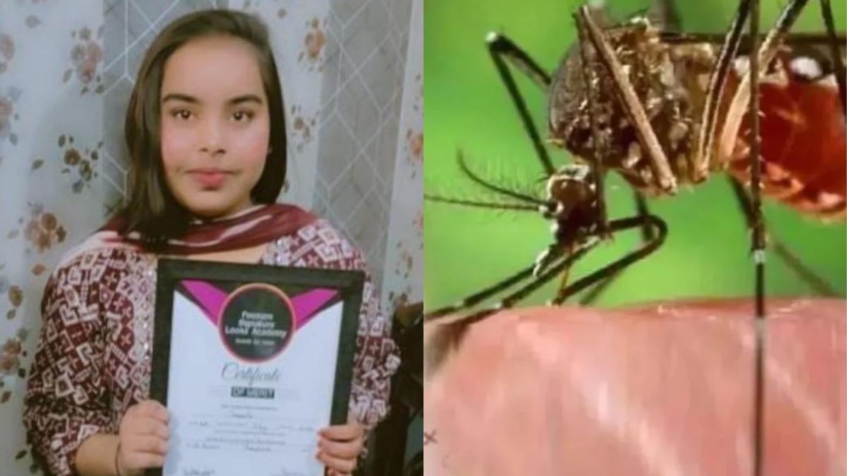 noida news student death after fever suspected dengue