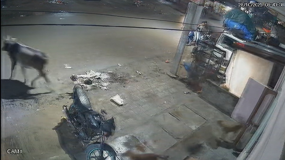 speeding pickup truck crushes auto driver flees scene driver arrested