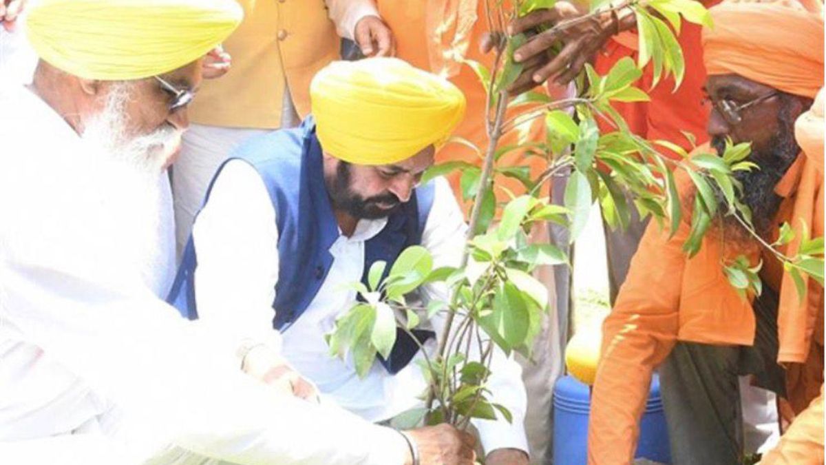 mann government signed 792 crore agreement with jica aiming to increase forest cover to 7 5 percent by 2030