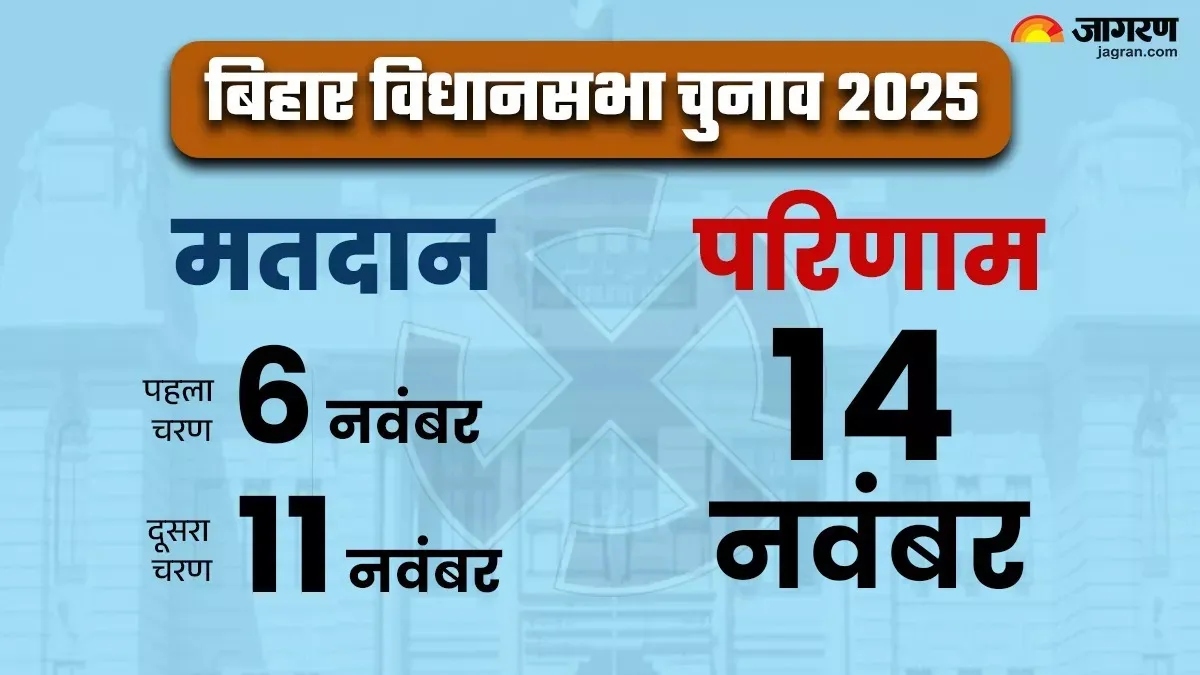 bihar voters can use 12 alternative ids for november 11th voting