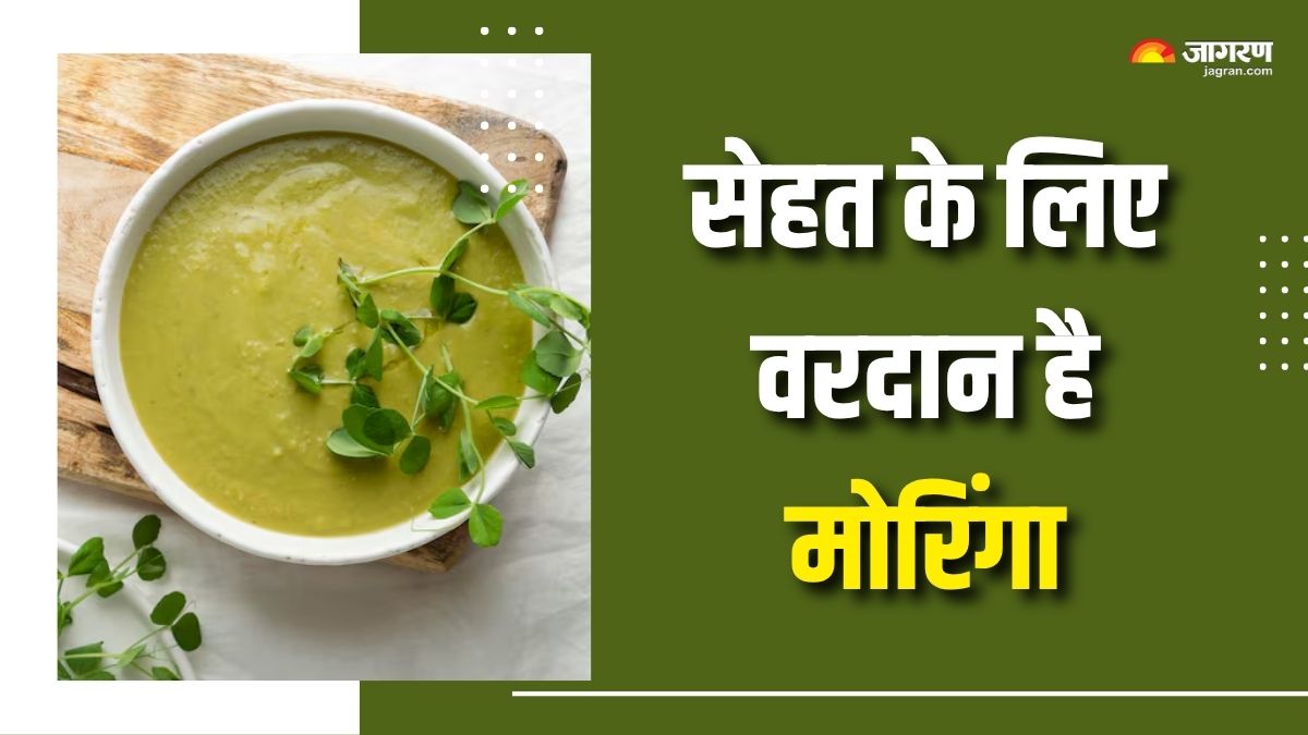 6 benefits of consuming moringa soup everyday check details here
