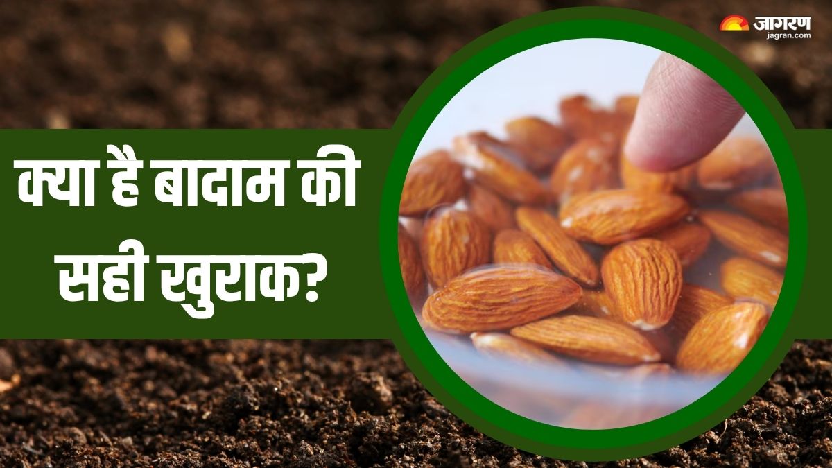 how many soaked almonds one should consume in a day check details here