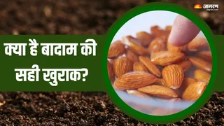 एक दिन में कितने बादाम खाएं? (Picture Courtesy: Freepik)