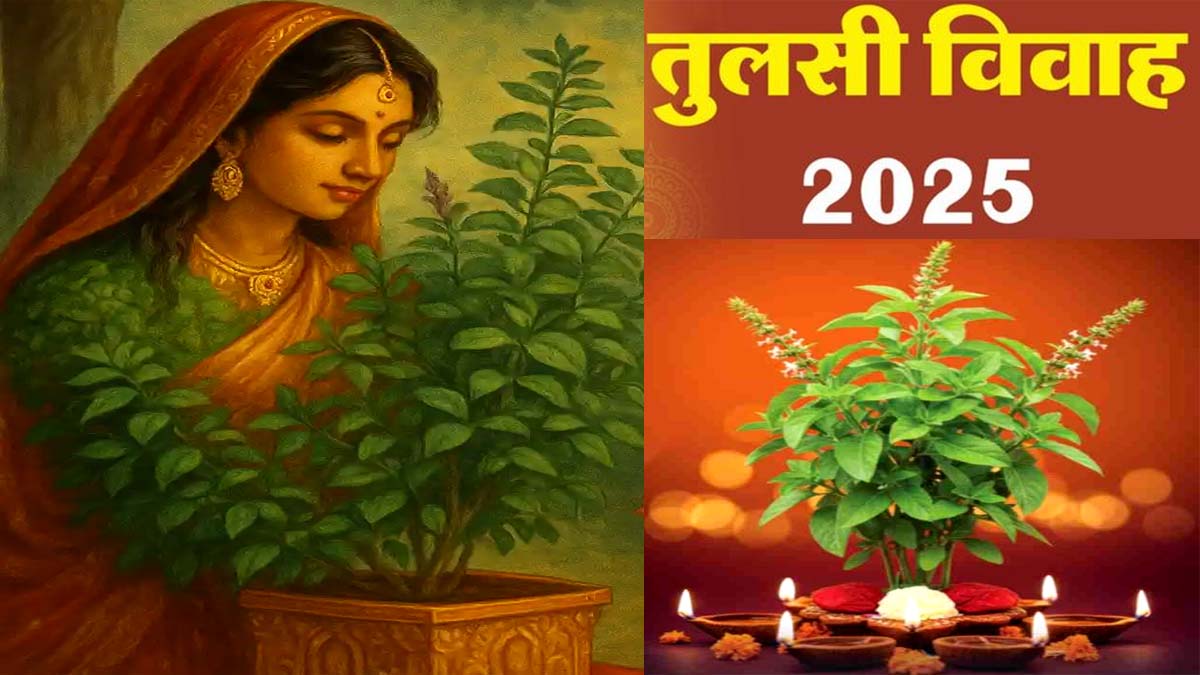 tulsi vivah kab hai tulsi vivah 2025 shubh muhurat puja vidhi and significance of tulsi puja
