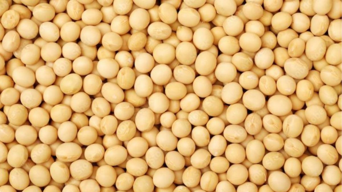 yellow peas to attract 30 percent import duty from november 1