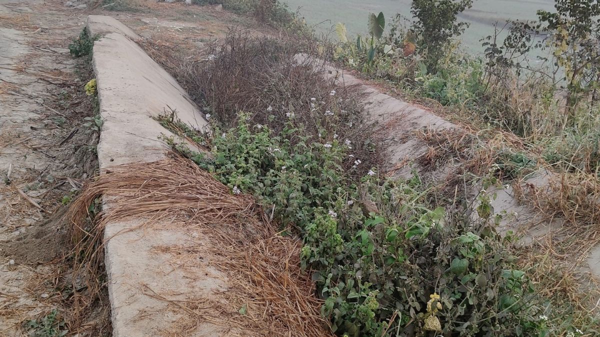 gopalganj gandak canal irrigation capacity declines farmers suffer